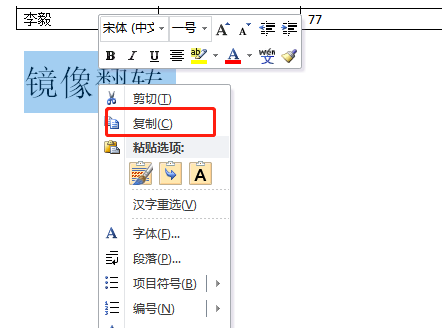 word如何使文字镜像翻转 word镜像翻转功能使用教程一览图2