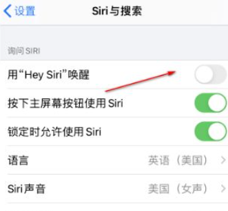 iphone15如何激活siri 苹果15siri激活步骤一览图3