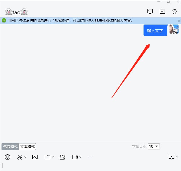 tim电脑版怎么设置聊天字体大小 tim调整聊天字体大小方法介绍图2