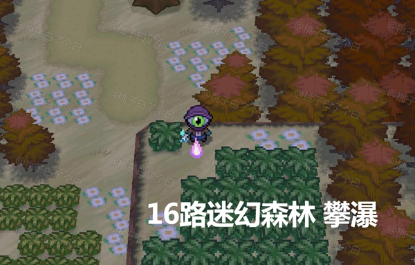 Pokemmo2023万圣节全鬼火收集攻略图10