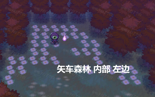 Pokemmo2023万圣节全鬼火收集攻略图18