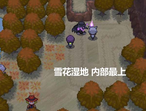 Pokemmo2023万圣节全鬼火收集攻略图23