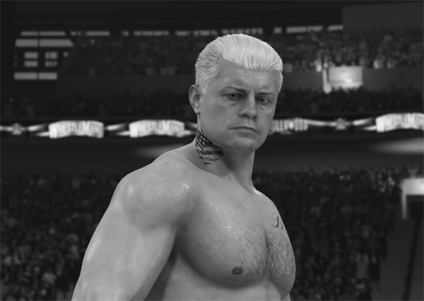 WWE 2k24登录平台介绍图1