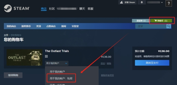 steam怎么把游戏隐藏不给别人看 steam隐藏游戏私密模式设置方法分享图3