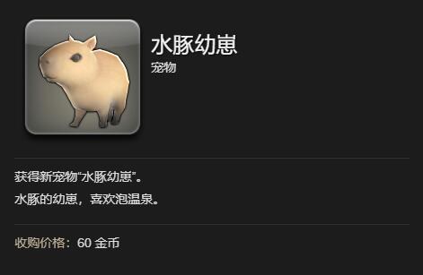 ff14水豚幼崽获得方法图5