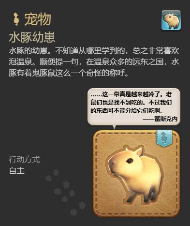 ff14水豚幼崽获得方法图7