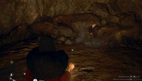 龙之信条2支线任务被掳走的少年怎么完成 龙之信条2dragonsdogma2支线被掳走的少年任务攻略图5