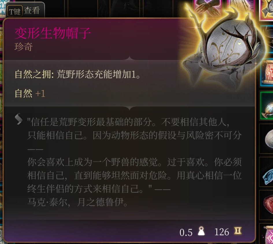 博德之门3魔网斗篷在哪里获得 博德之门3魔网斗篷获取位置介绍图4