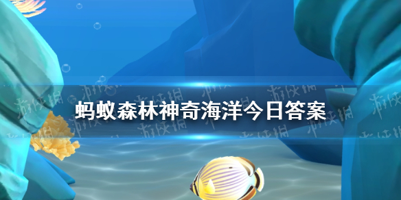 蚂蚁森林神奇海洋3月29日答案 哪种海洋动物受伤后具有快速的自愈能力图1