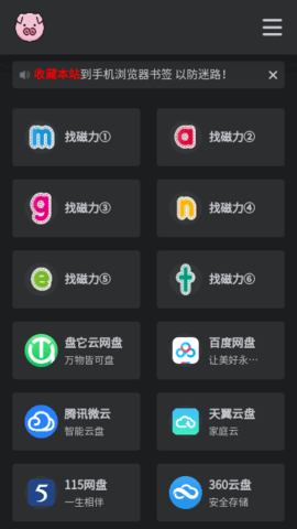 bt磁力猪磁力搜索图1