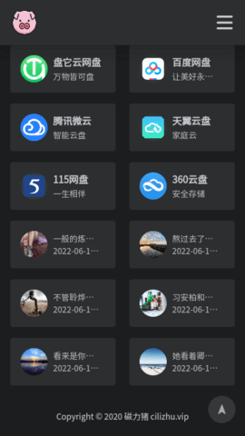 bt磁力猪磁力搜索图3